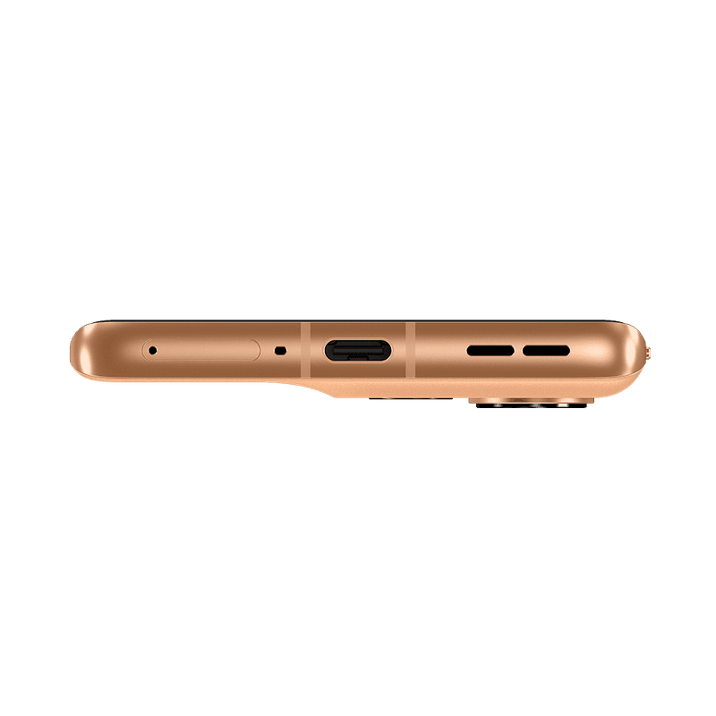 Vista 5